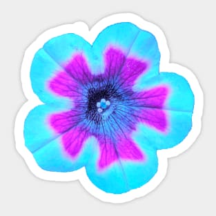 Light teal filtered flower photographic image Sticker